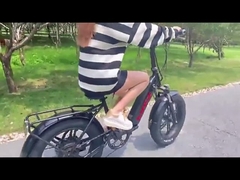 500W Lithium Battery Electric Bike Aluminum Pedals Magnesium Alloy